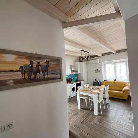 Iris * 카르보니아